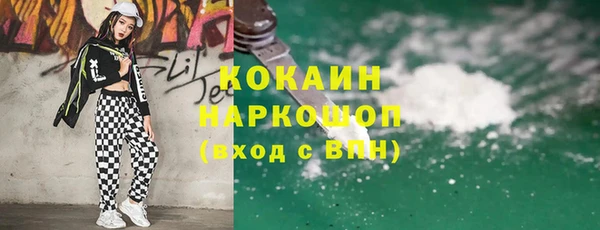 мдпв Ельня