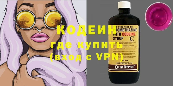 мдпв Ельня