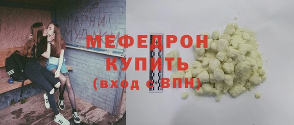 мдпв Ельня