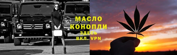 мдпв Ельня
