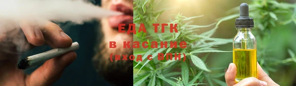мдпв Ельня