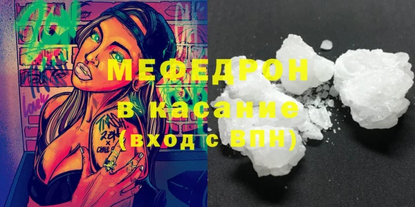 мдпв Ельня