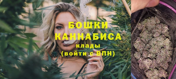 мдпв Ельня