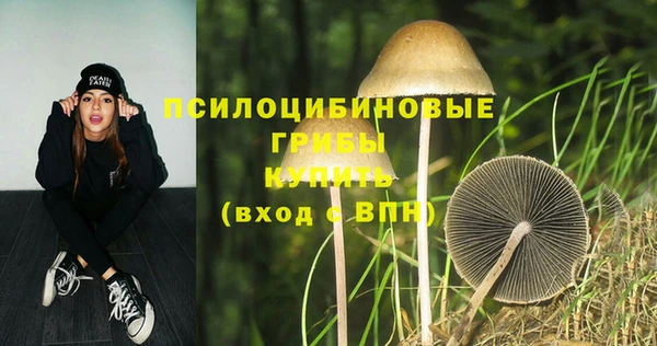 синтетический гашиш Елабуга
