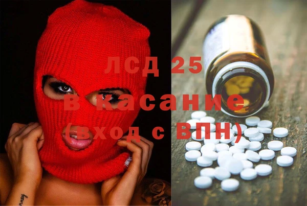мдпв Ельня