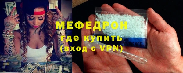 мдпв Ельня