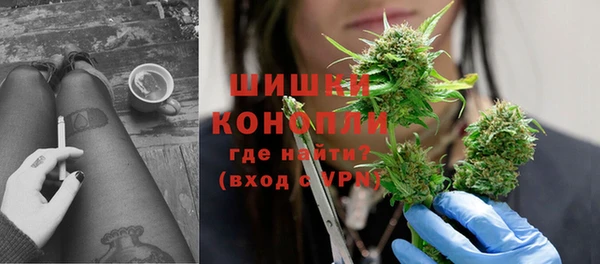 мдпв Ельня