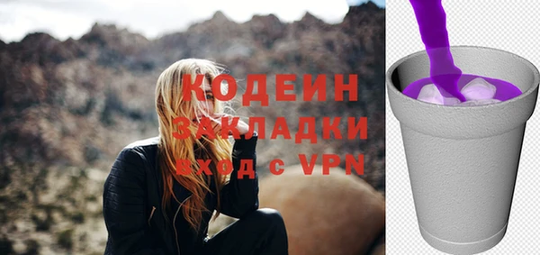 мдпв Ельня
