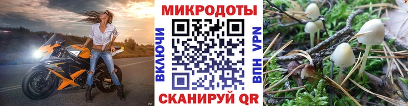 Псилоцибиновые грибы Cubensis  Зеленодольск 