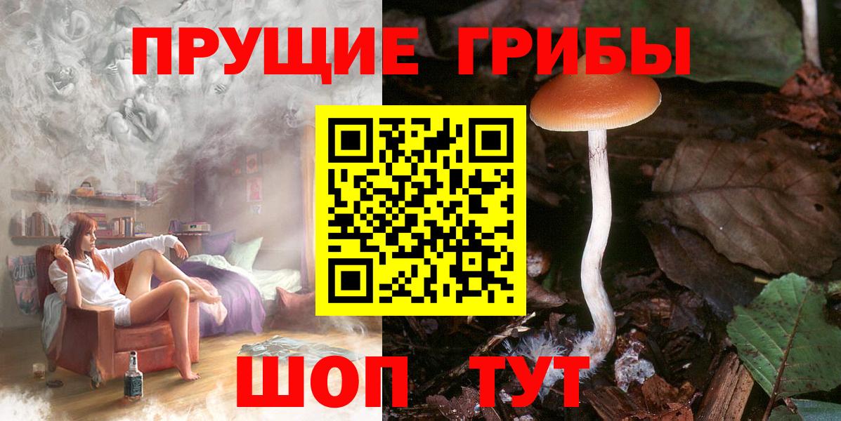 купить закладку  Вход с VPN  Зеленодольск  Псилоцибиновые грибы MAGIC MUSHROOMS 